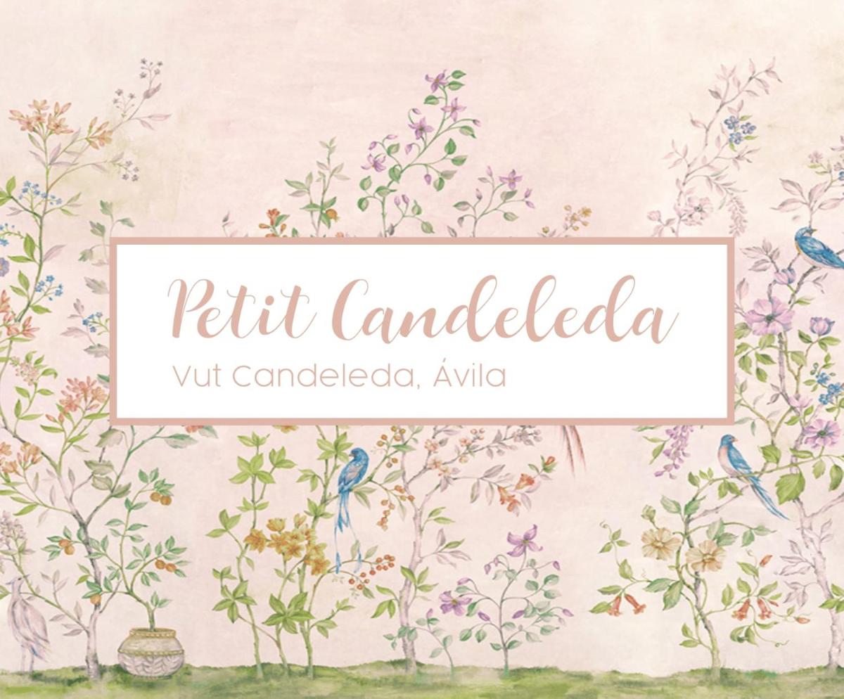 Petit Candeleda - Housity