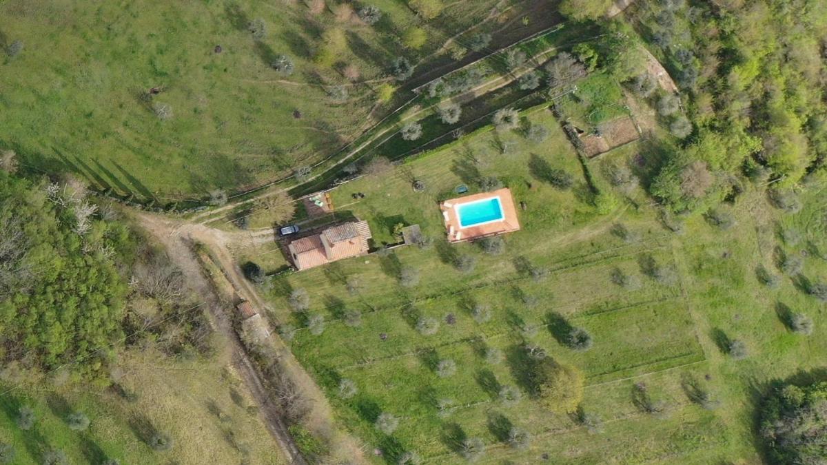 Villa San Regolino whit private pool - Housity