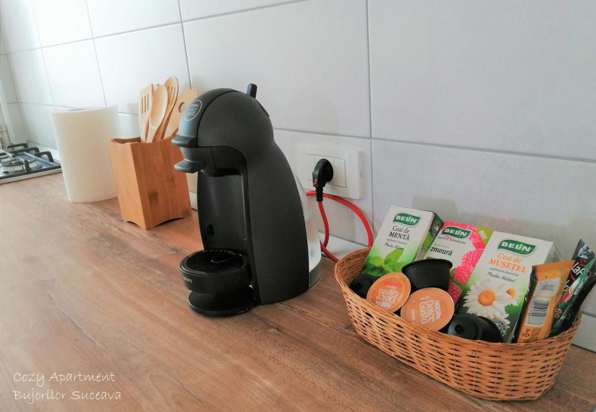 Cozy Apartment Bujorilor Suceava - Housity