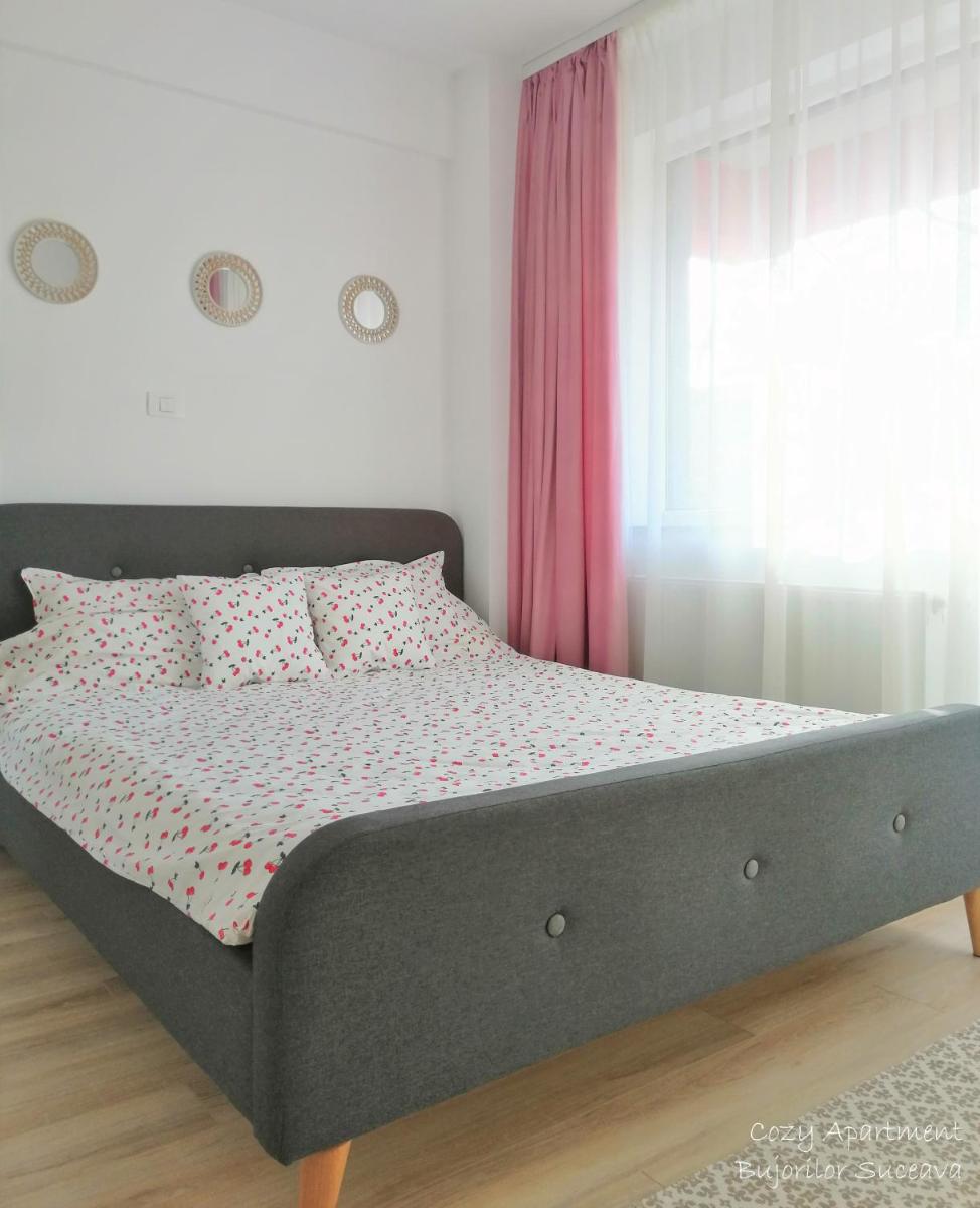 Cozy Apartment Bujorilor Suceava - Housity