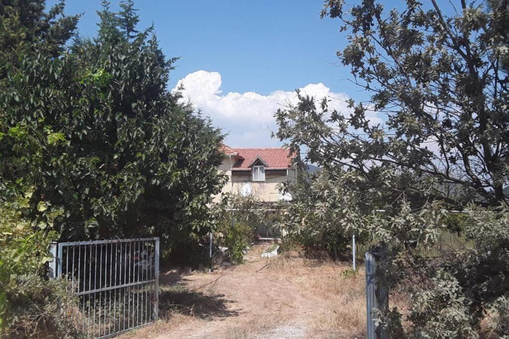 Dağ Evi - Housity