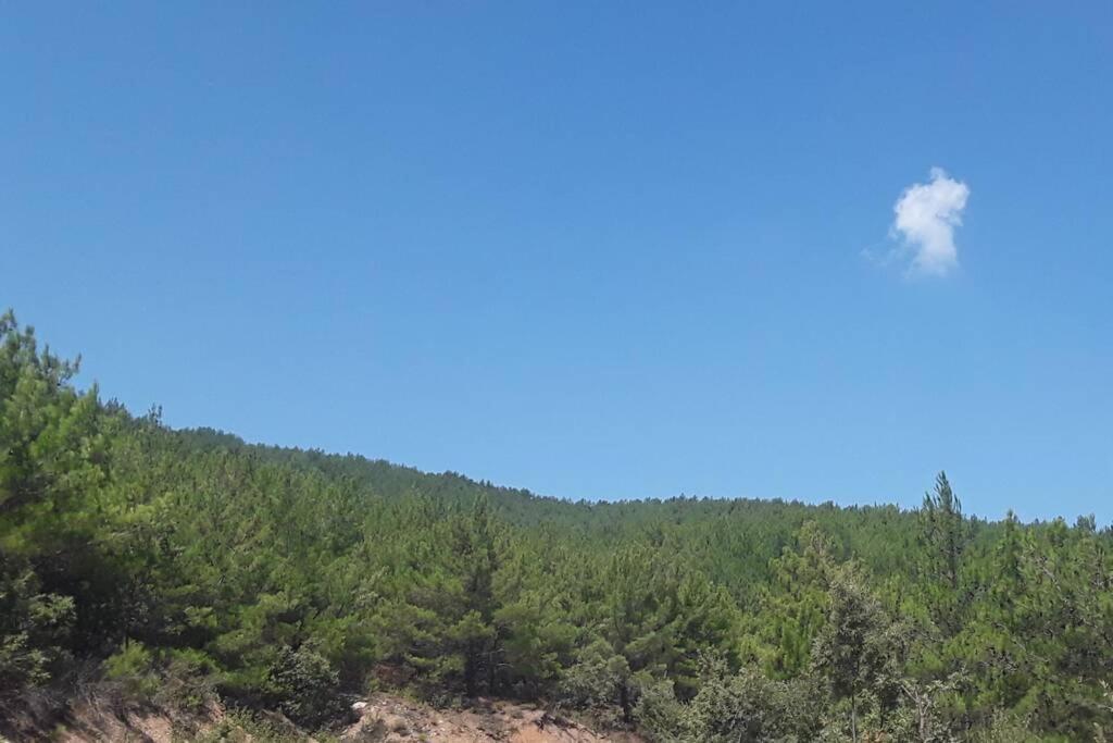 Dağ Evi - Housity