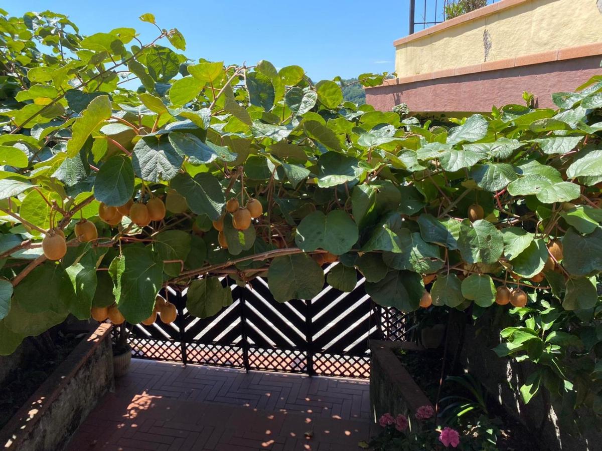 Collimare Rooms & Sailing near 5 Terre - Housity