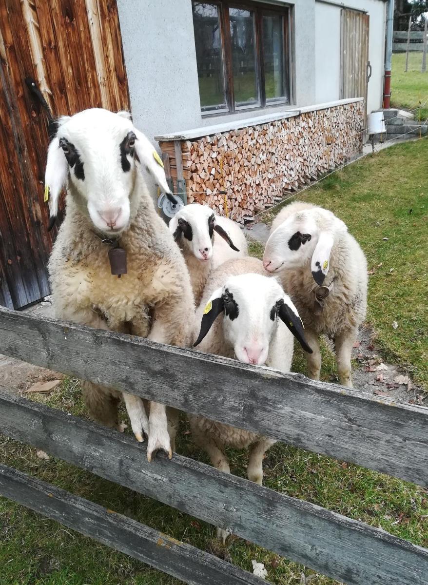 Suitetrails - Ferienwohnung an der Wolfsgrube