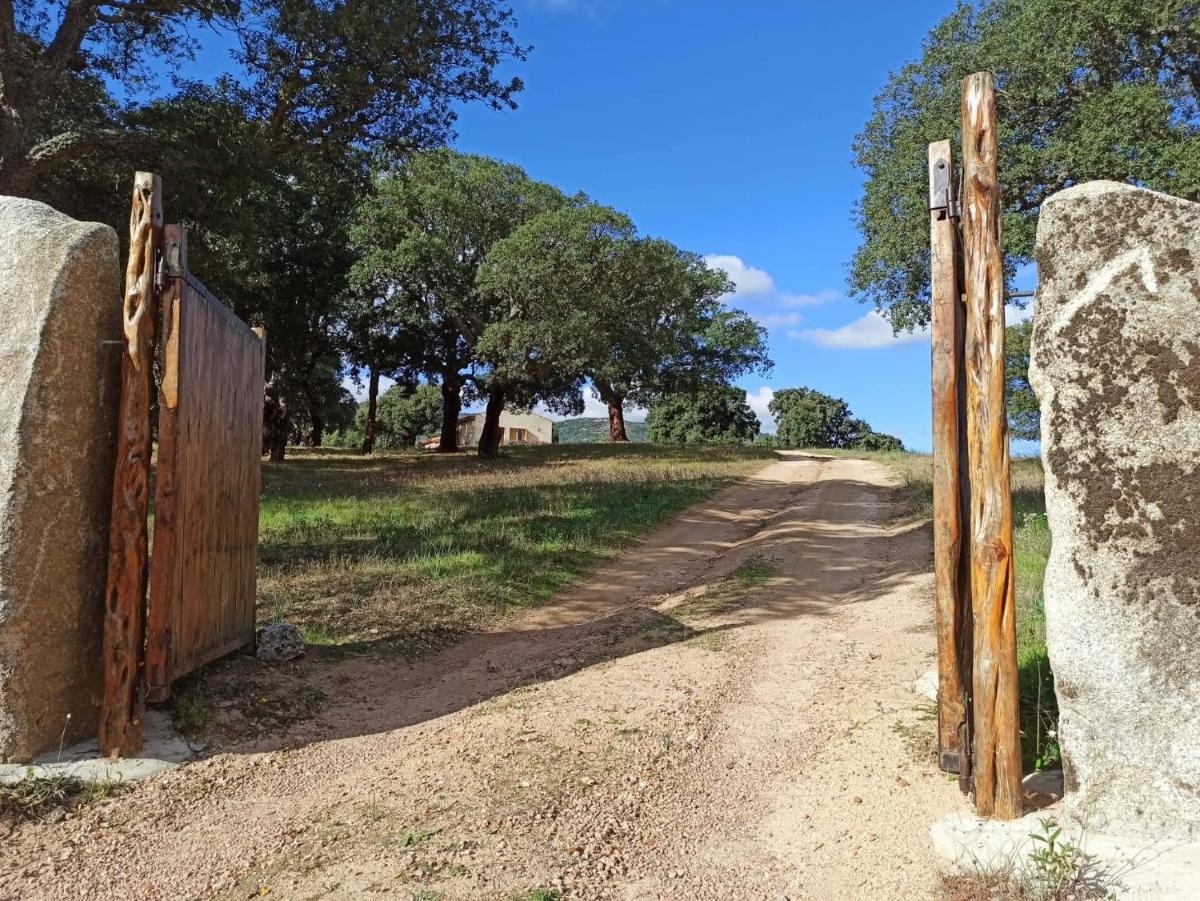 Sherdana's - Housity