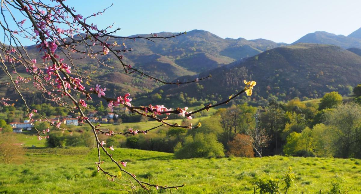 Hotel Rural El Otero - Housity