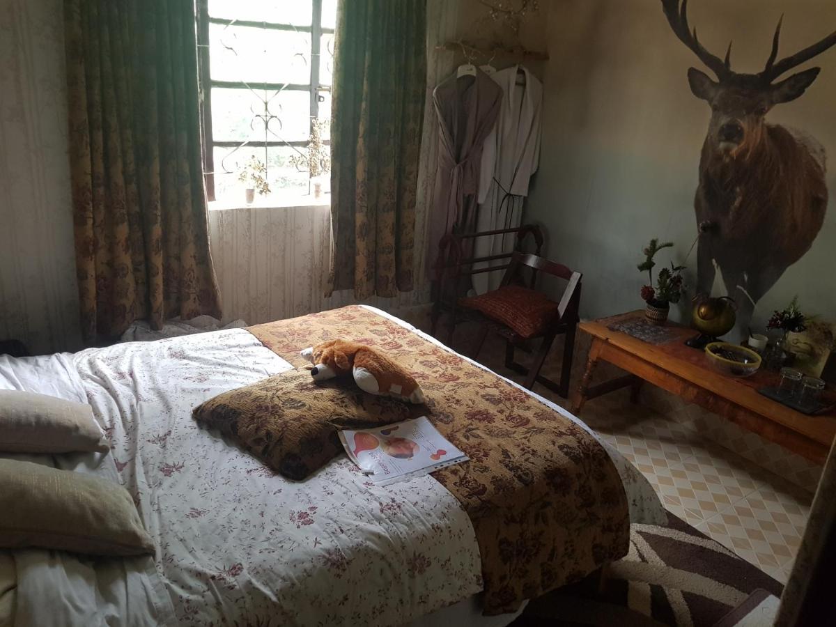 Sasana Motel and Guest House - Housity