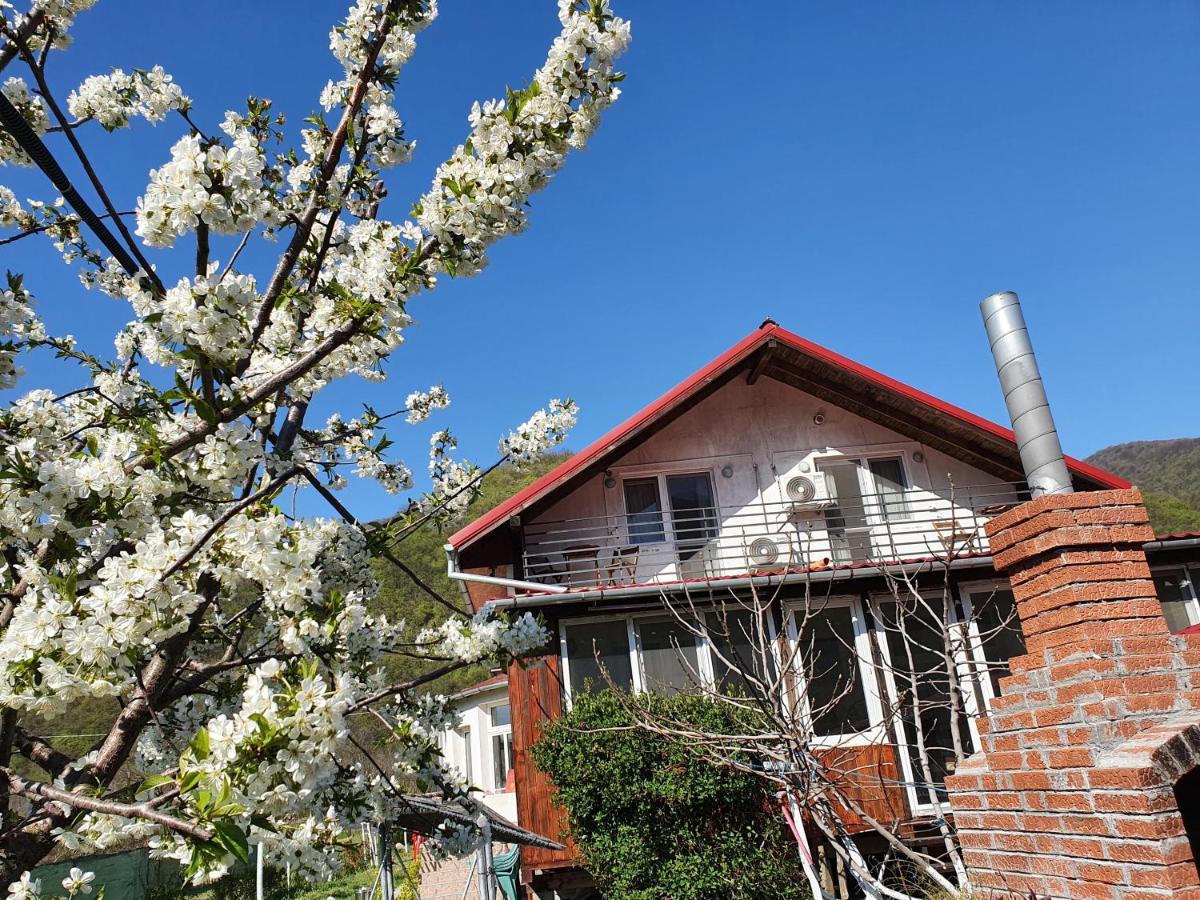 Vila di Pau - Housity
