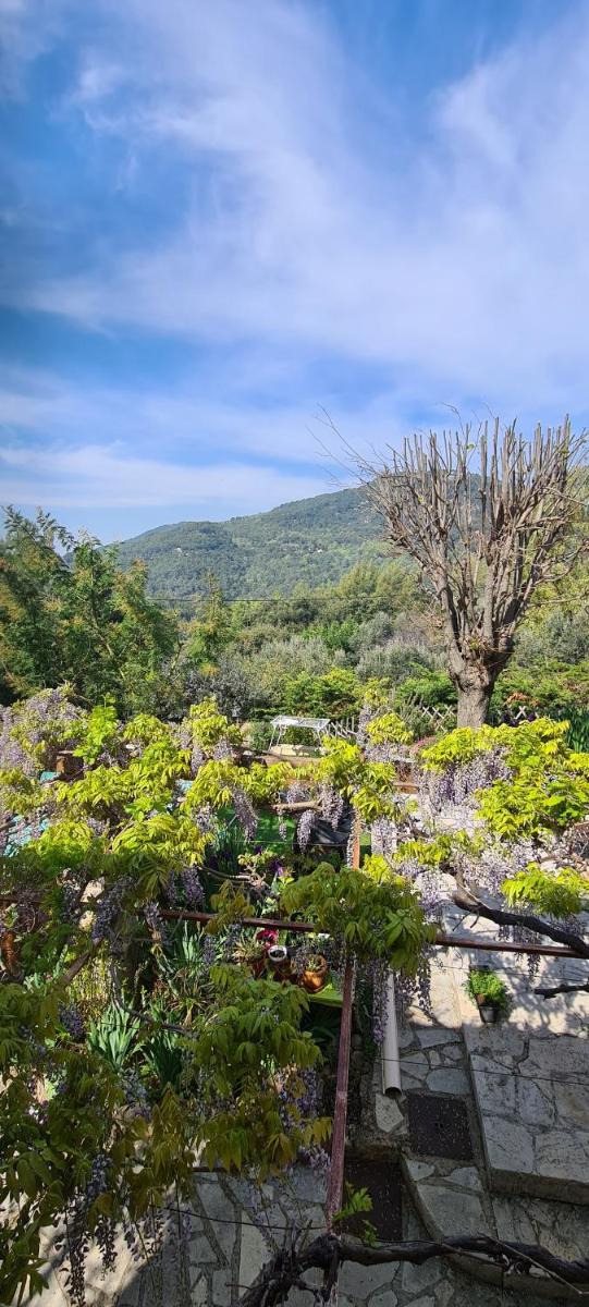 Suitetrails - Studio de charme + terrasse : Verdon, lac, plages