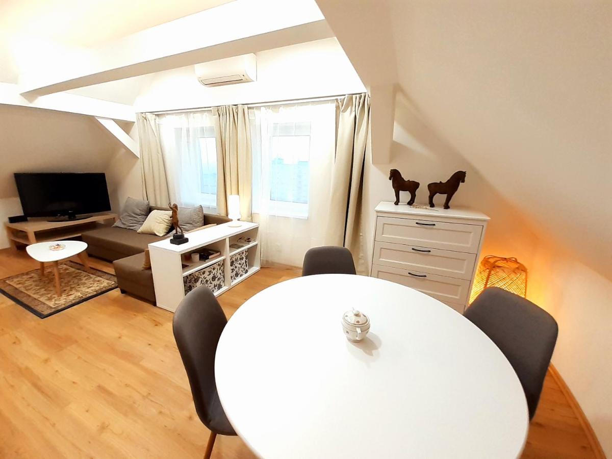 Apartmány v centru - Lázně Kynžvart - Housity