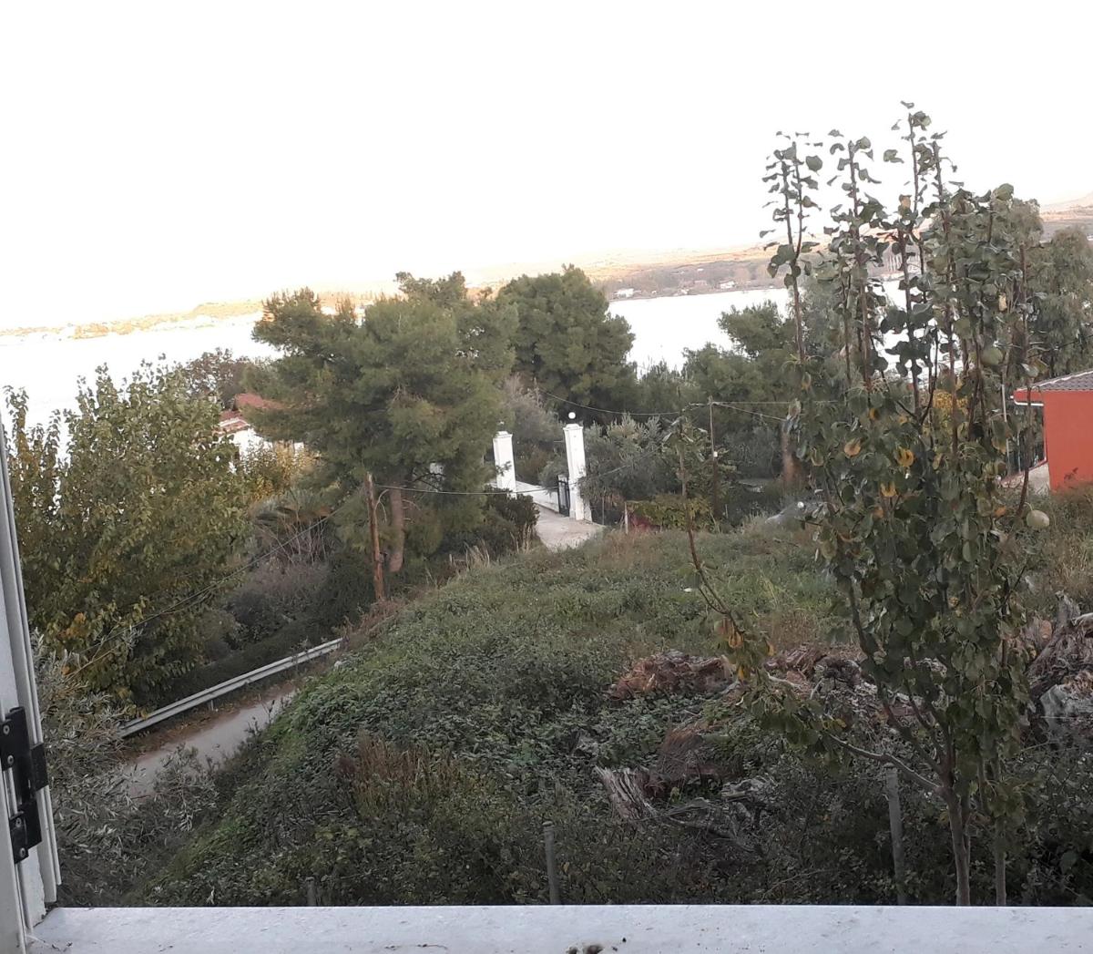 Amazing Sea View-Neos Pyrgos Beach -Evoia Greece - Housity