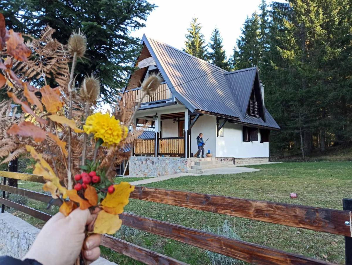 Vila Dunja Zlatar - Housity