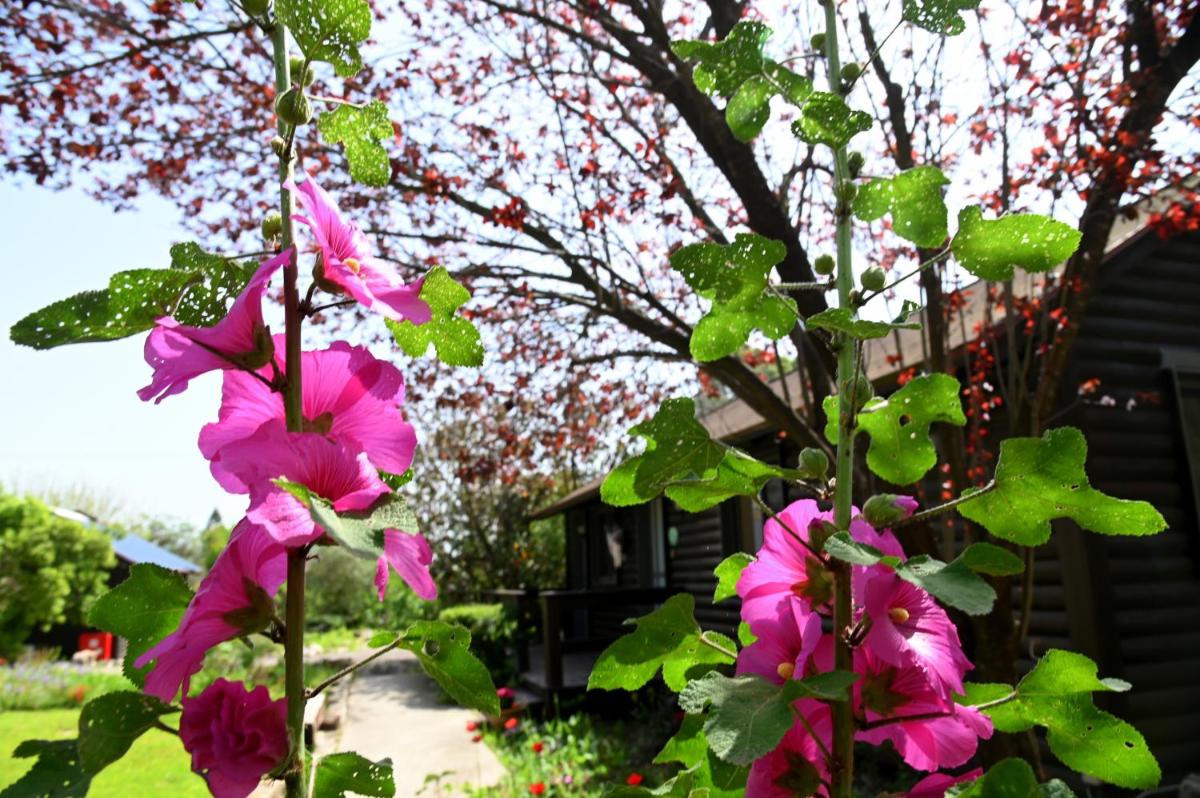 Numa Emek-Countryside Guesthouse in Yokneam Moshava - Housity