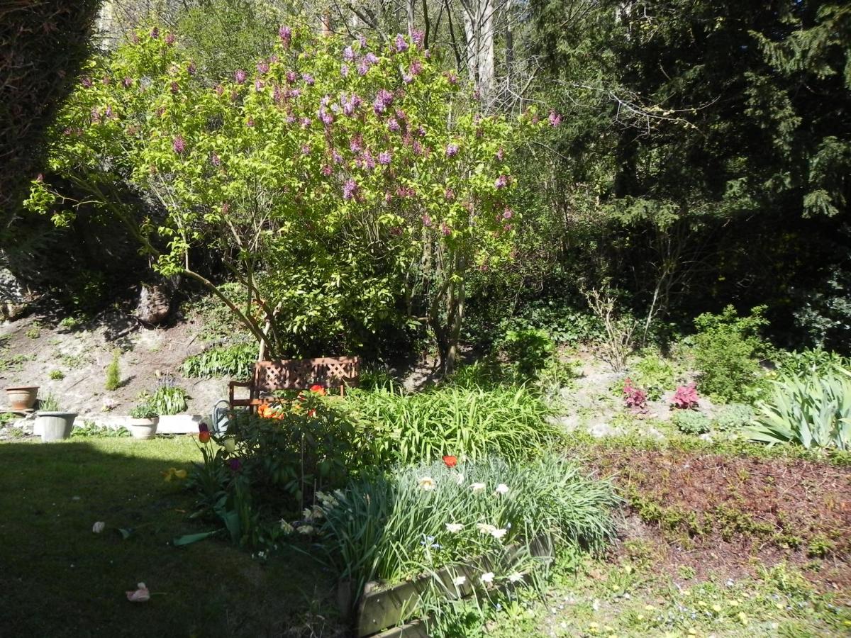 Villa MONIKA - Housity