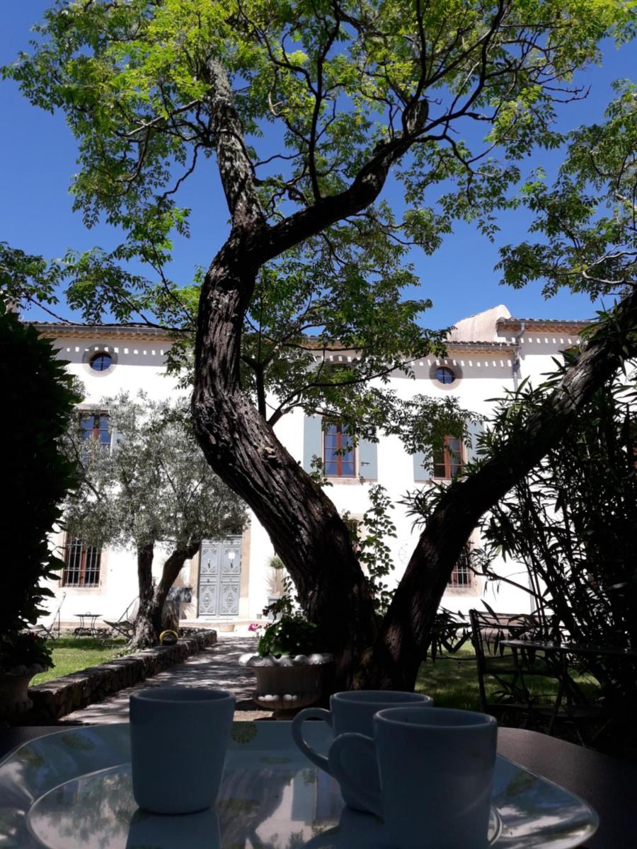 Jardin de l'établissement Logis Hôtel Château De Palaja