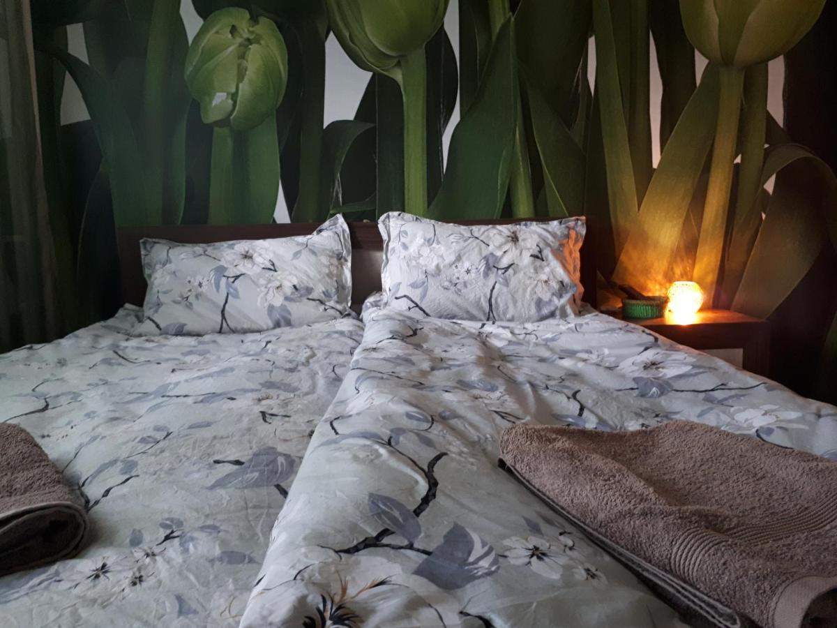 Tulips - guest room close to the Airport, free street parking - Housity