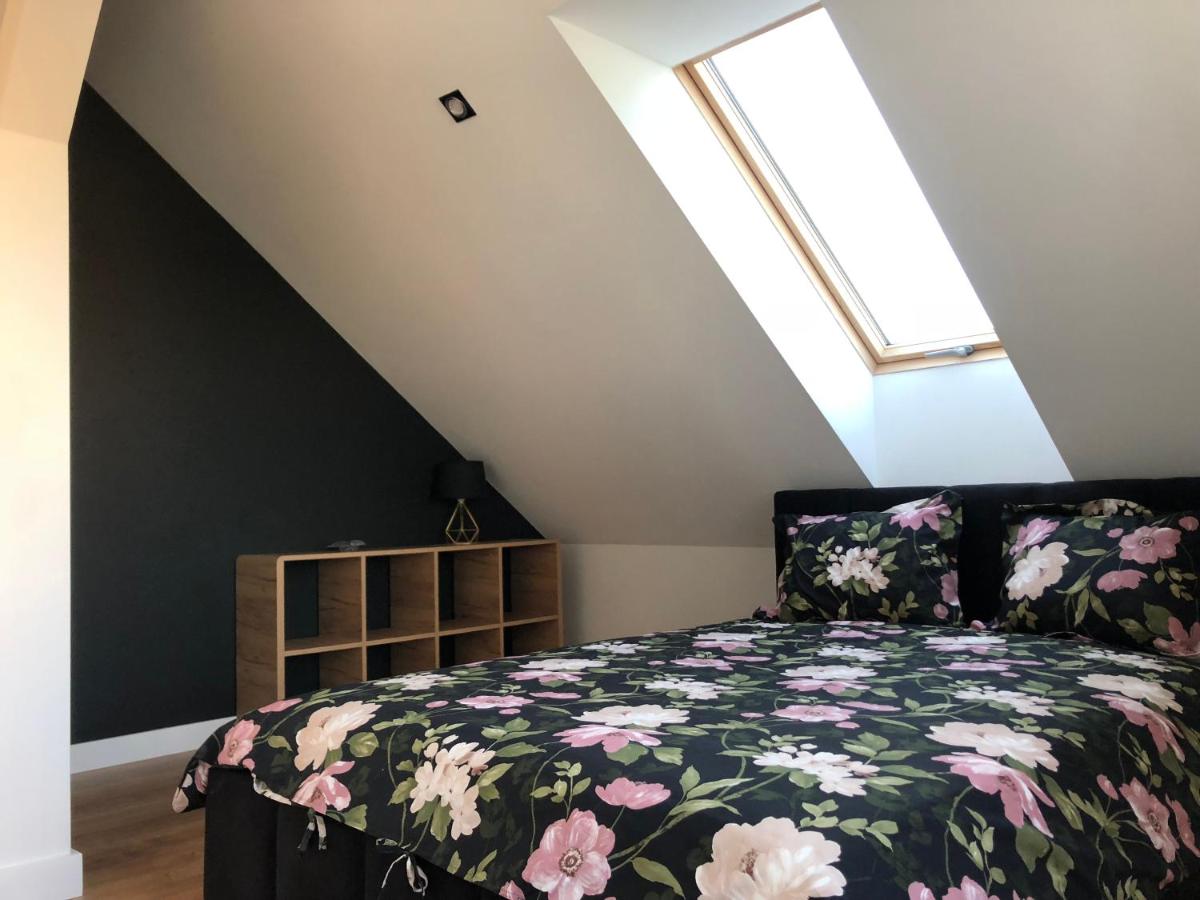 Apartament Aleksandra we Wielu z widokiem na jezioro - Housity