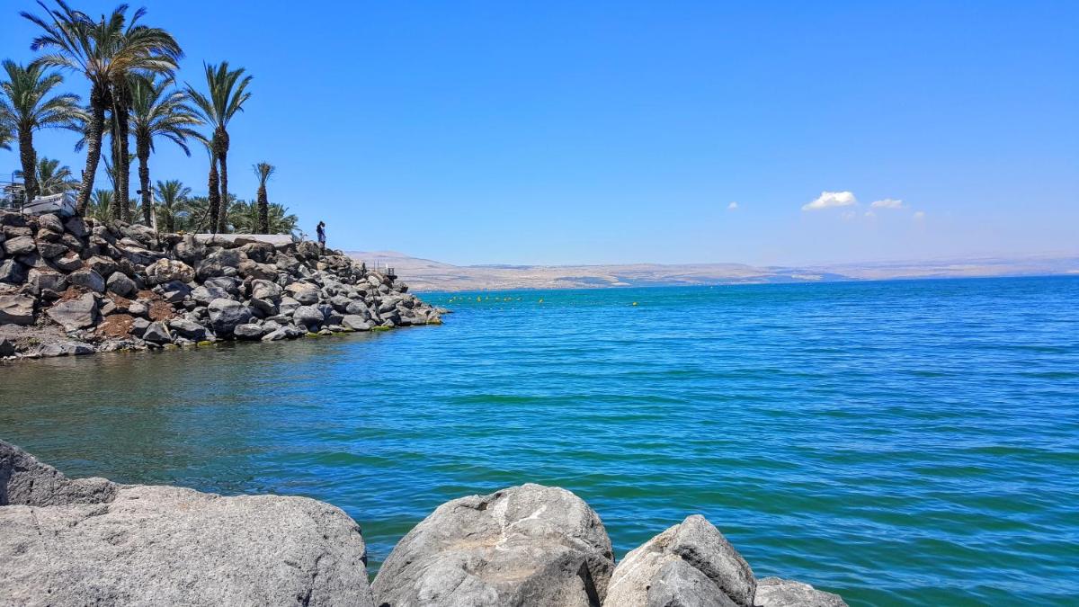 Tiberias 1 - Housity