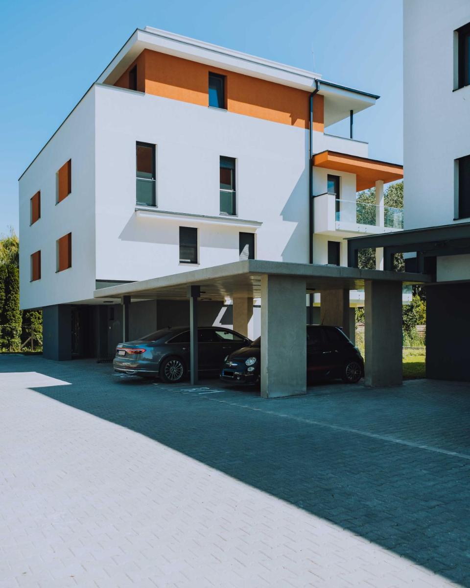 Fűzliget Ezüstnyár - Housity