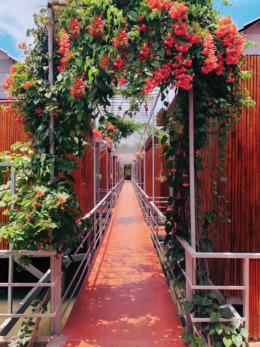 Cato Homestay - Housity