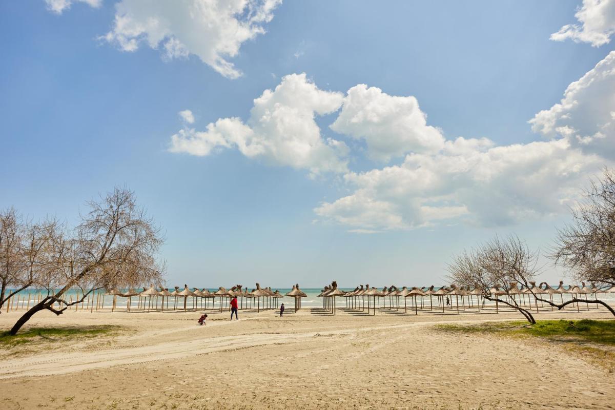 Deko Apartments Alezzi Beach Mamaia - Housity