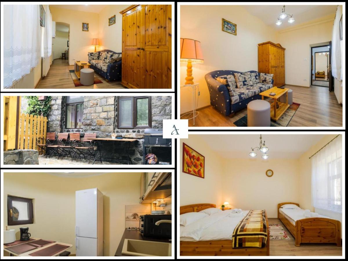 Apartment Carol private Yard with barbeque and parking - Housity