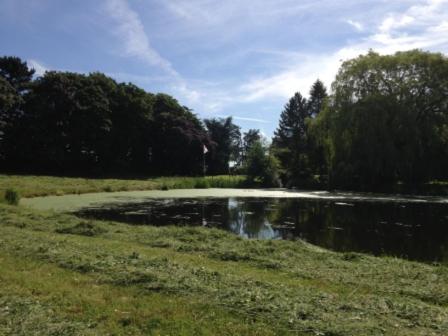 Whitethorn Bed and Breakfast - Housity