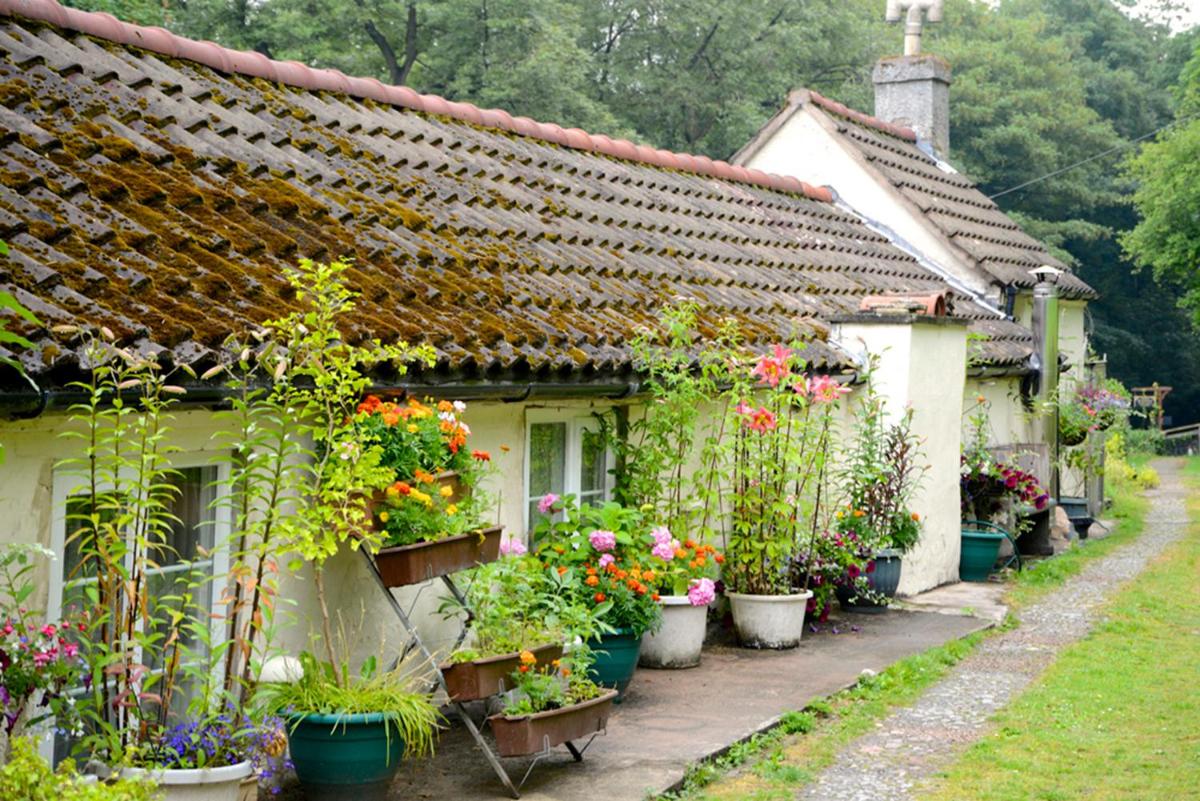 Ladywood House Bed and Breakfast - Housity