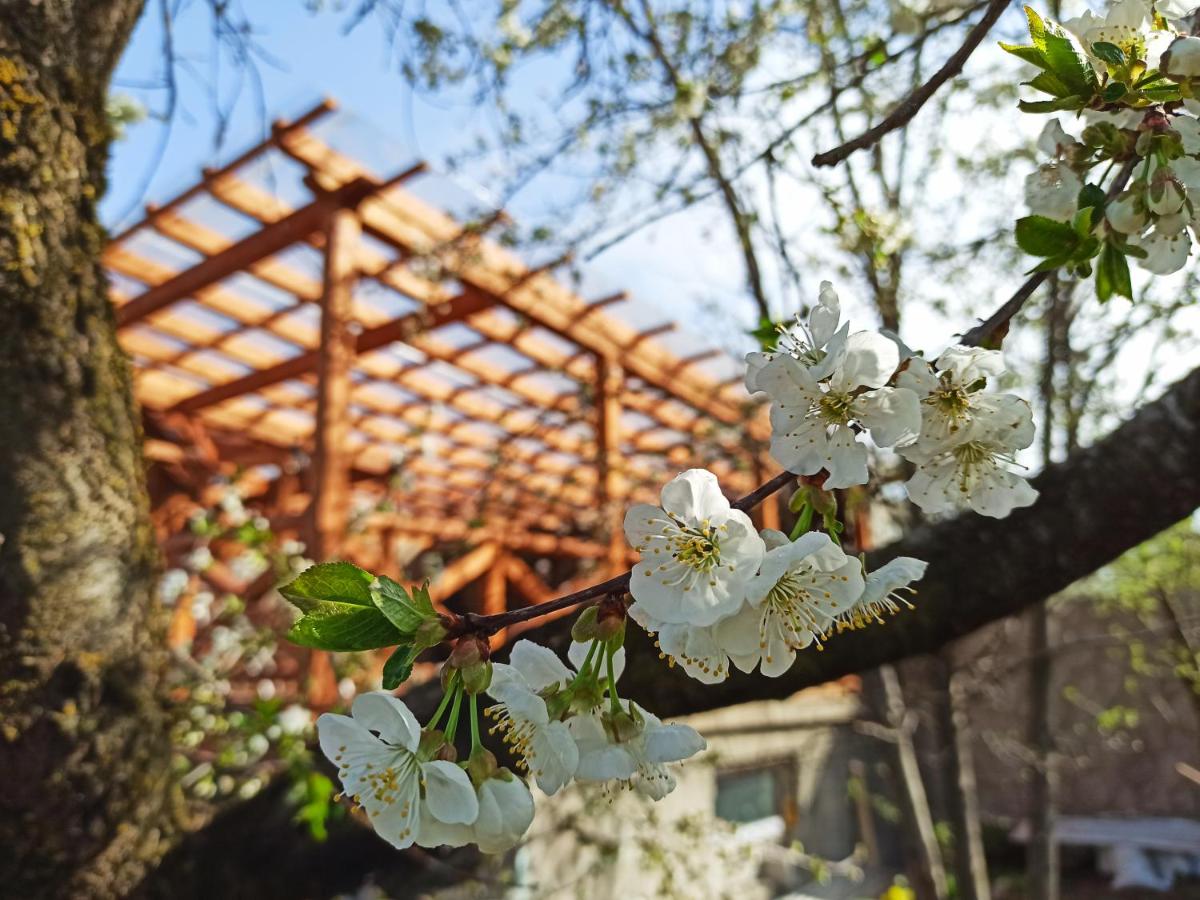 Jermatun Guest House - Housity
