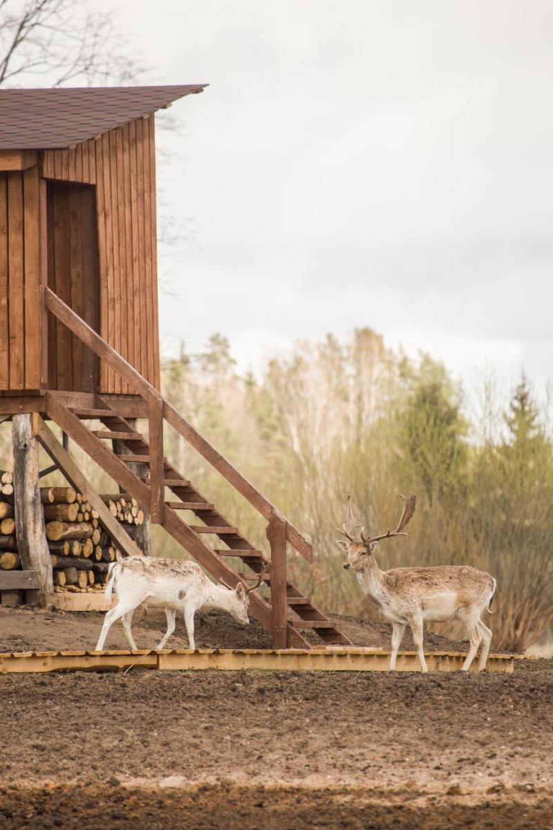 Arčiau gamtos Anykščiai - Housity