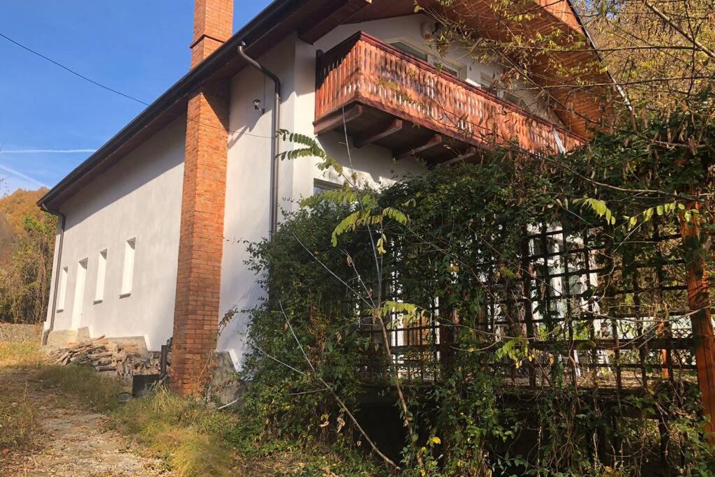 Casa pescarului - Housity