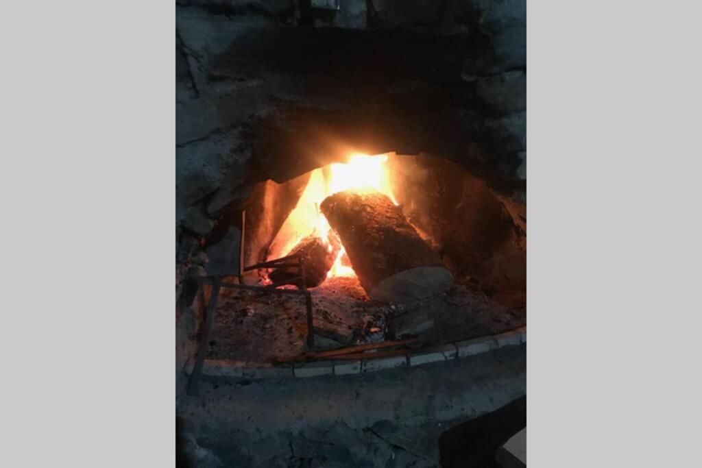 Her şeyden uzak, çam ormanı içerisinde Yayla Evi - Housity