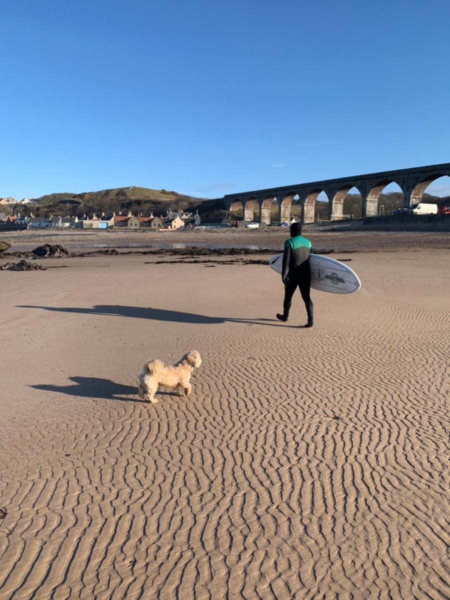 Pear Tree Cottage - Housity