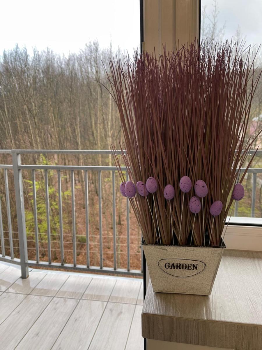 Апартаменты LUXURY LAVANDER - Housity