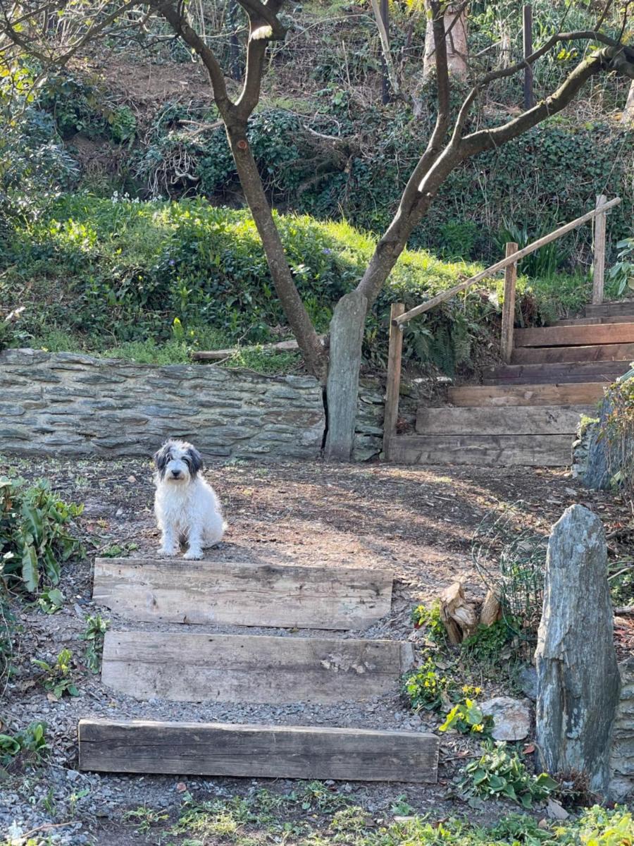 Westwaterhead - Housity