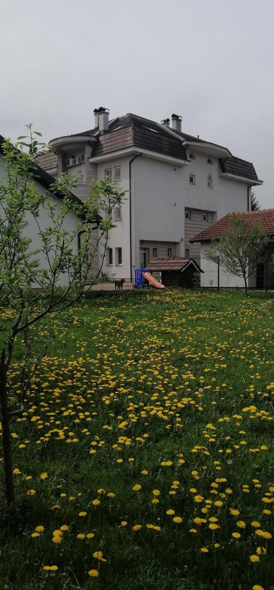 Guesthouse Jelic - Housity
