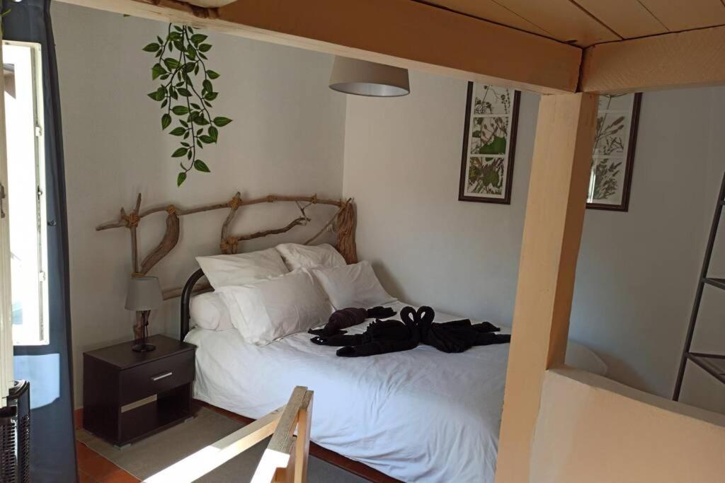 La Pitchounette micro-maison de charme - Housity