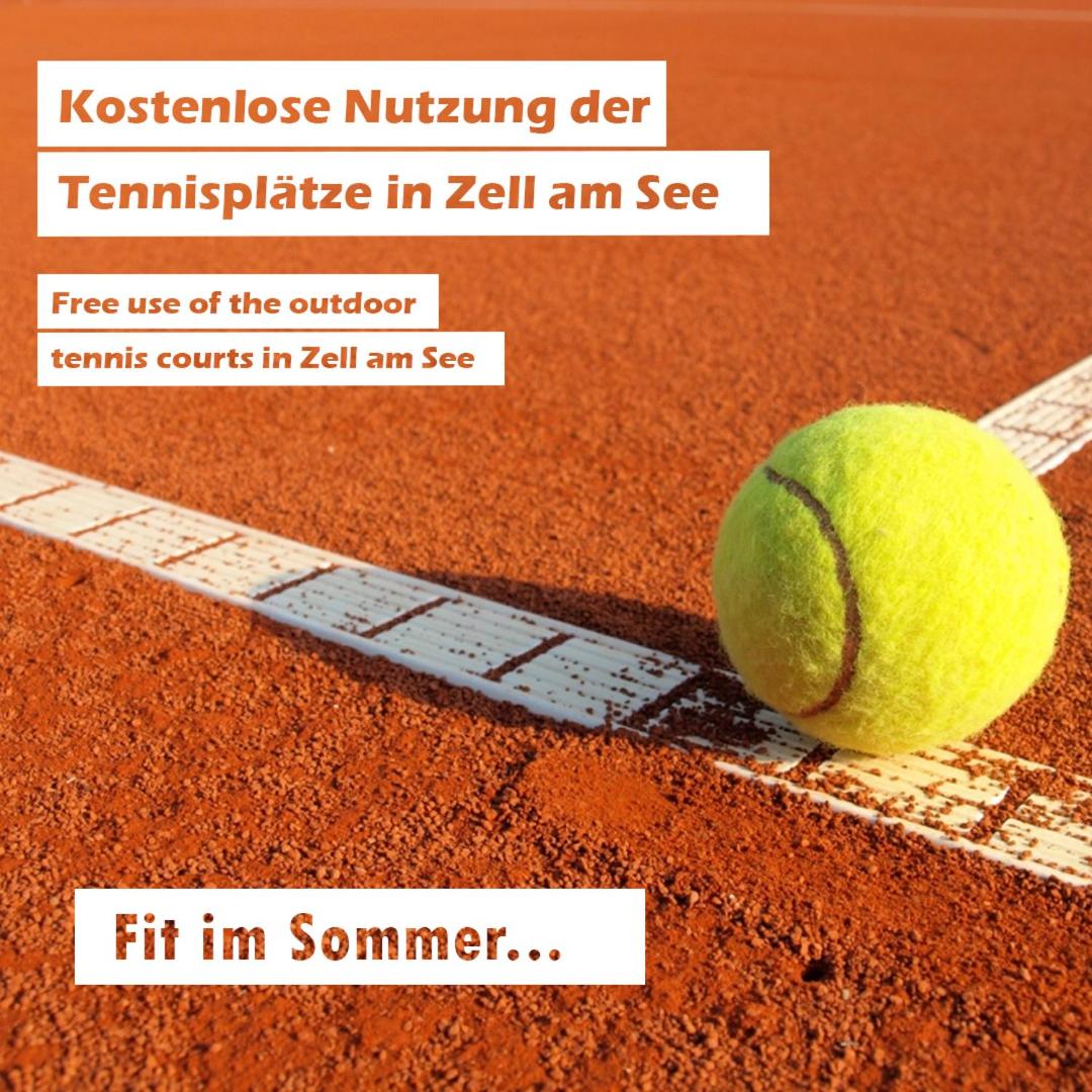 Penthouse in the heart of Zell am See - Housity