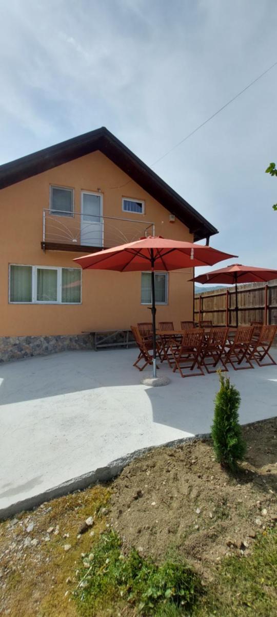 Casa de vacanta Laurentiu - Housity