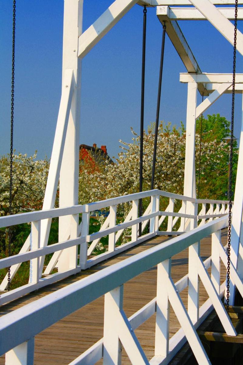 Fewo Elbblick im Haus Lühegarten - Housity