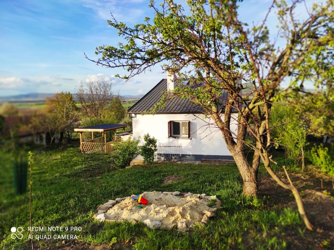 Ágnes almái Ágnes apples - Housity