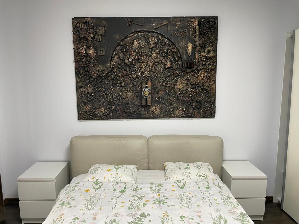 THE ARTIST - Copou - Housity