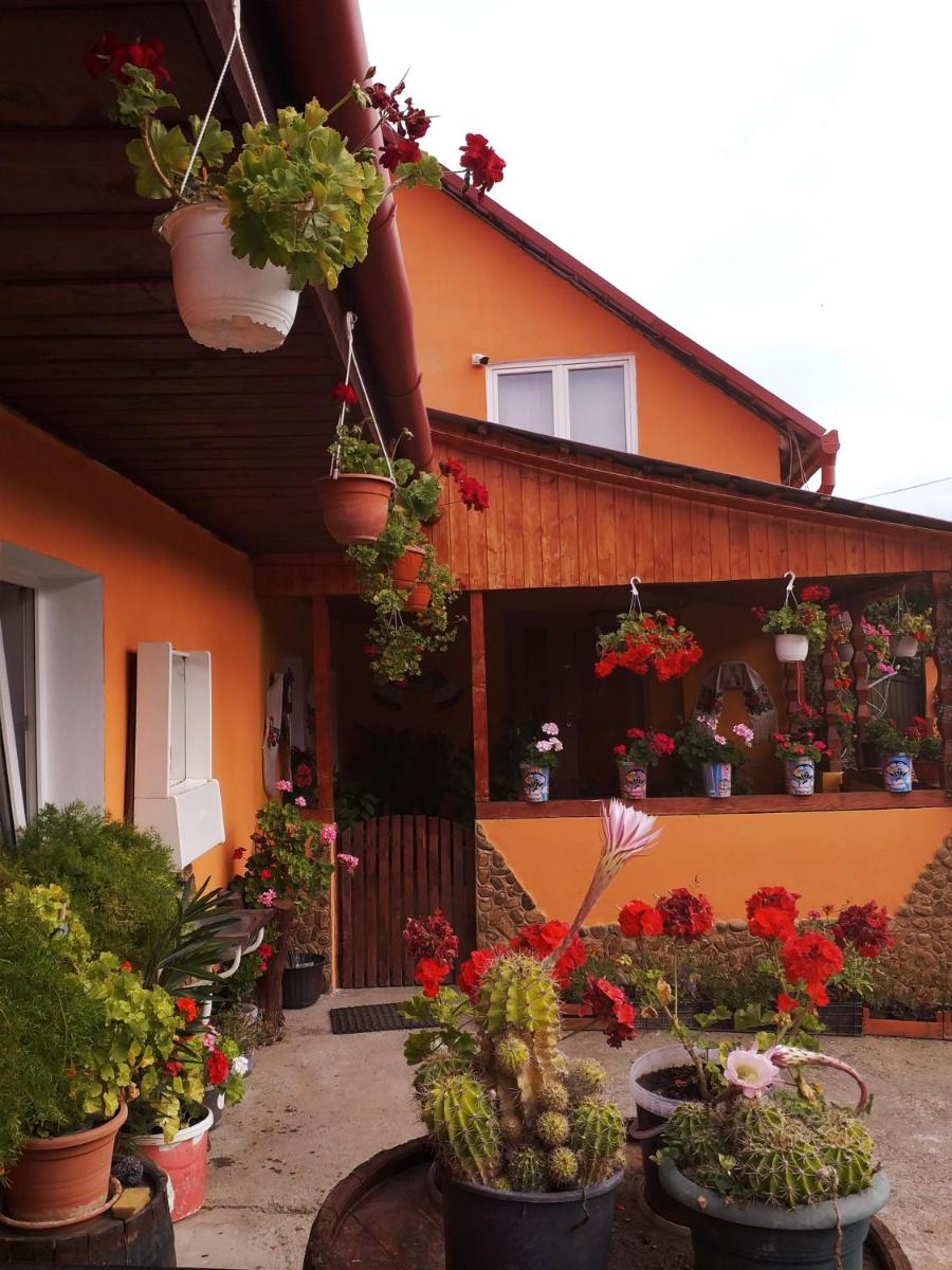 Casa Florilor Barcut - Housity