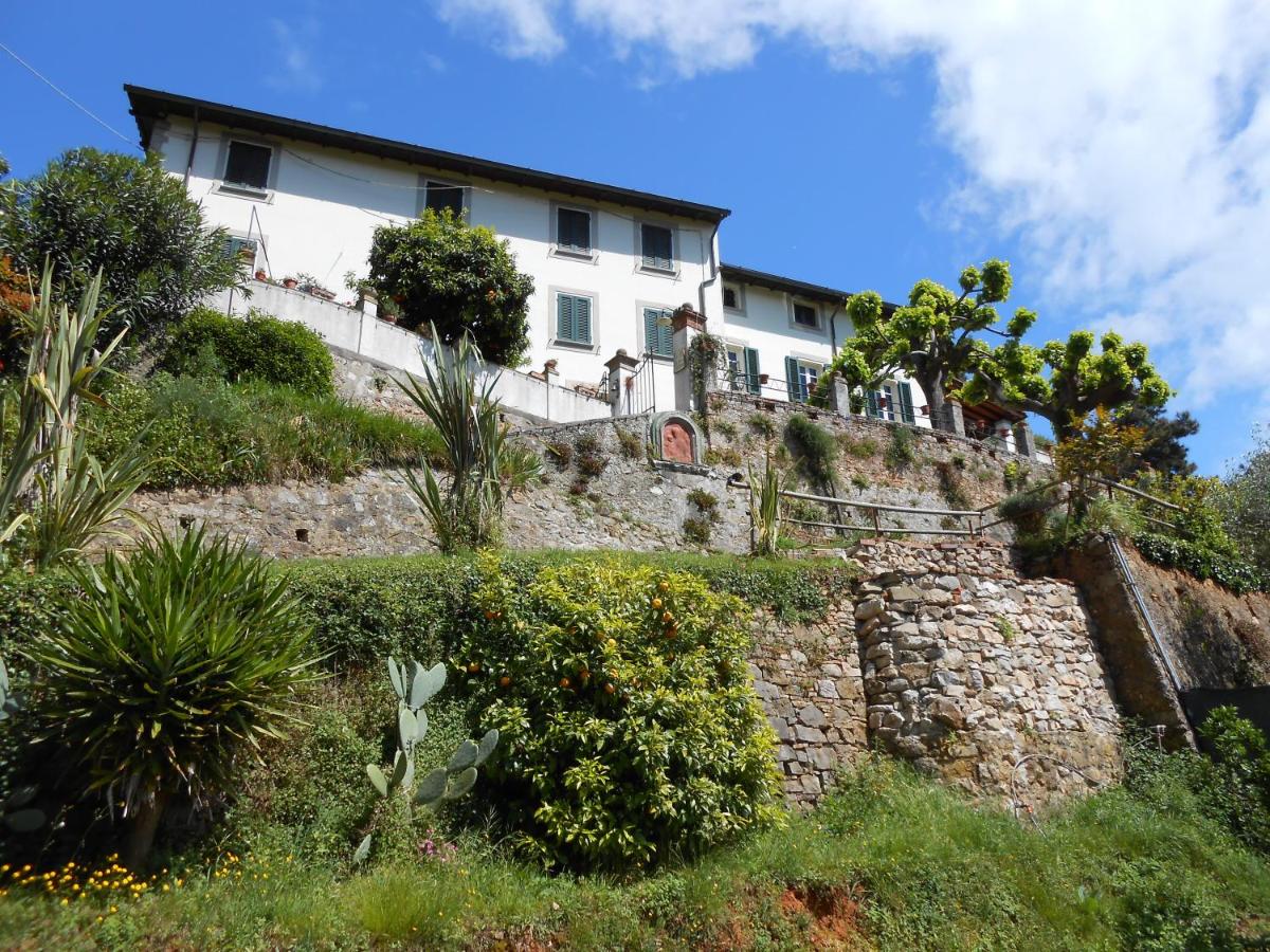 La Pieve Di Sant'Andrea - Housity