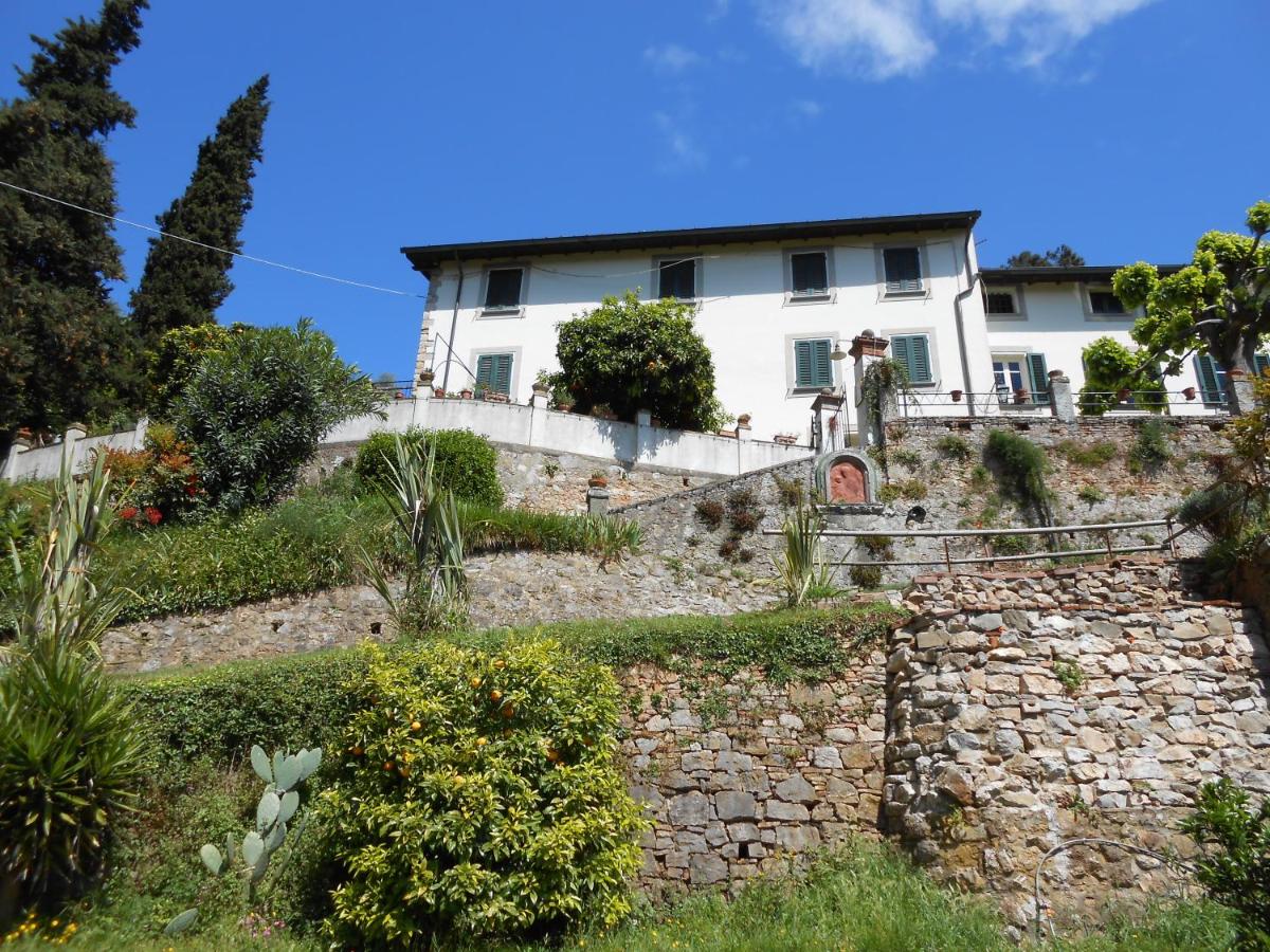 La Pieve Di Sant'Andrea - Housity