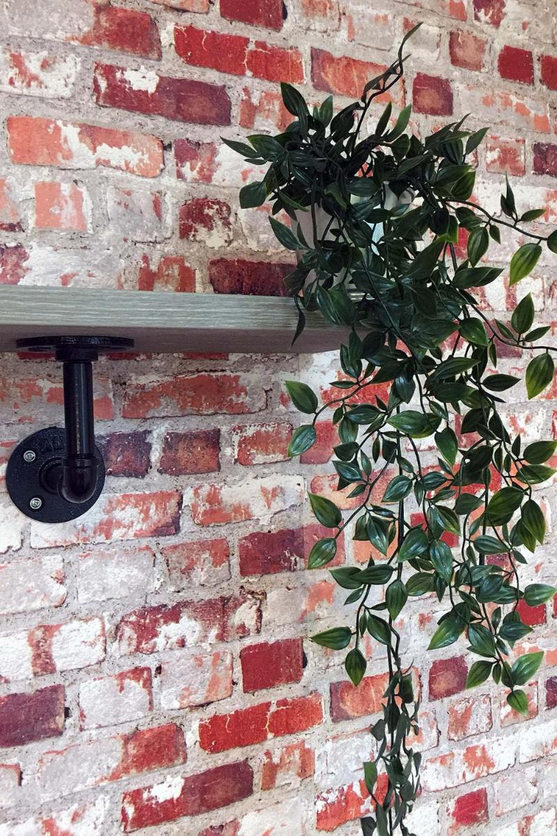 Beaverhall Holiday Apartments - Housity