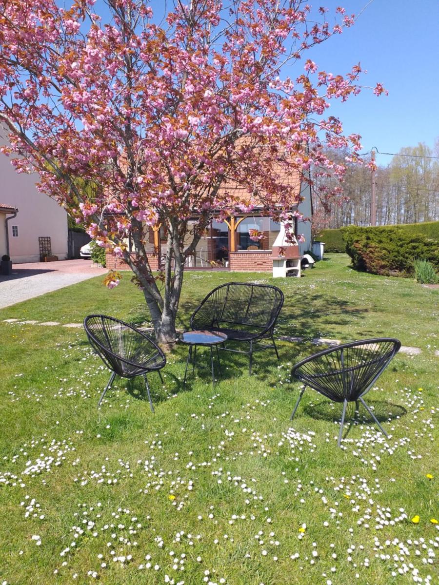 La salicorne - Housity