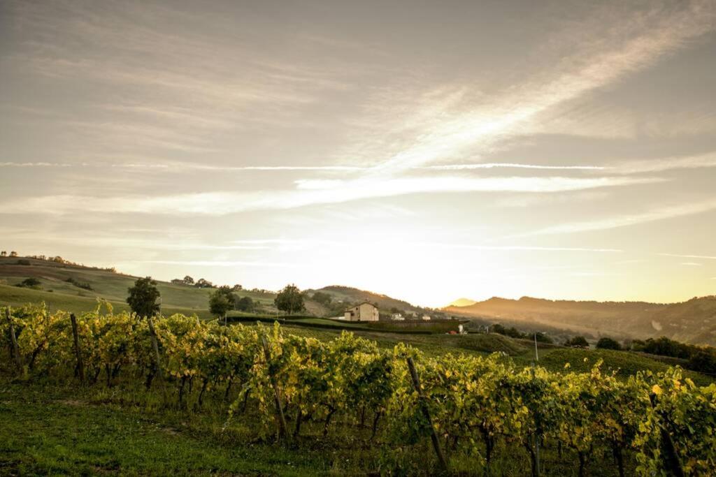 La Casa Vacanza con vista panoramica sui vigneti - Housity
