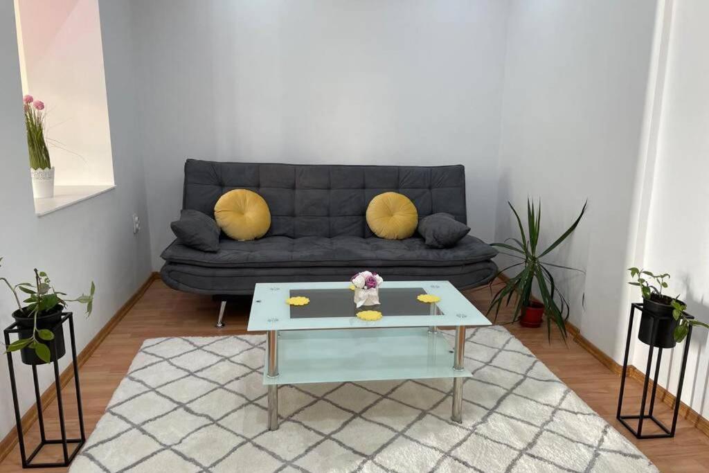 Apartament Cristina - Băile 1 Mai, Felix, Bihor, reducere jumătate bilet intrare Apollo și Aquapark President - Housity
