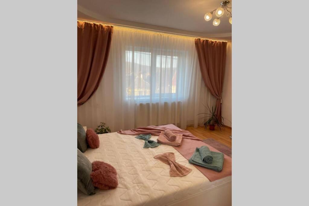 Apartament Cristina - Băile 1 Mai, Felix, Bihor, reducere jumătate bilet intrare Apollo și Aquapark President - Housity